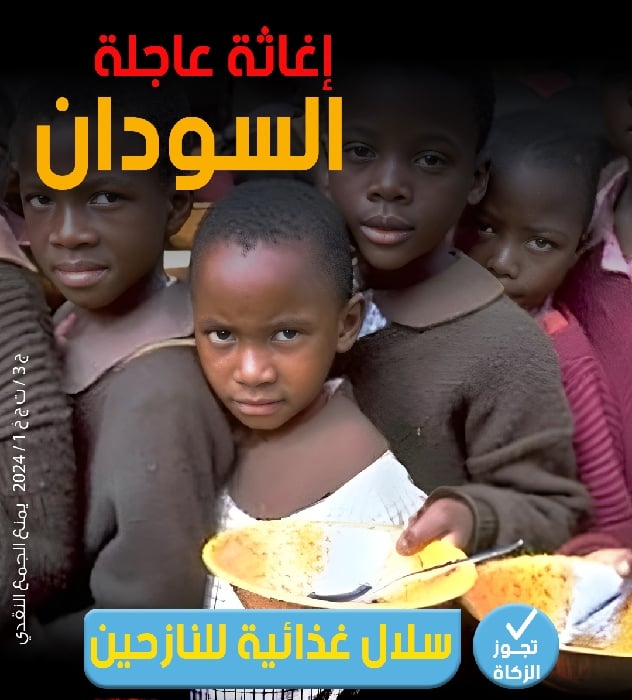 صورة طرود غذائية لإغاثة السودان