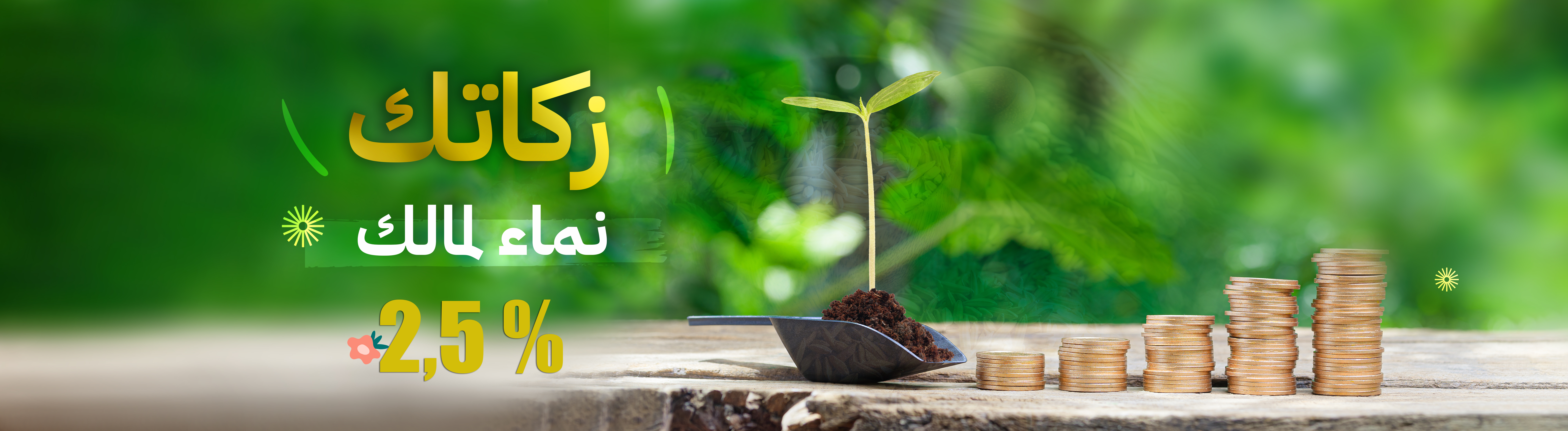 الزكاة - ويب