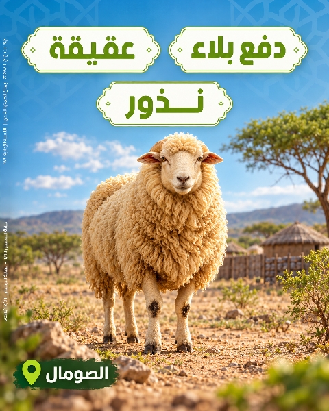 Picture of دفع بلاء - عقيقة - نذور بالصومال